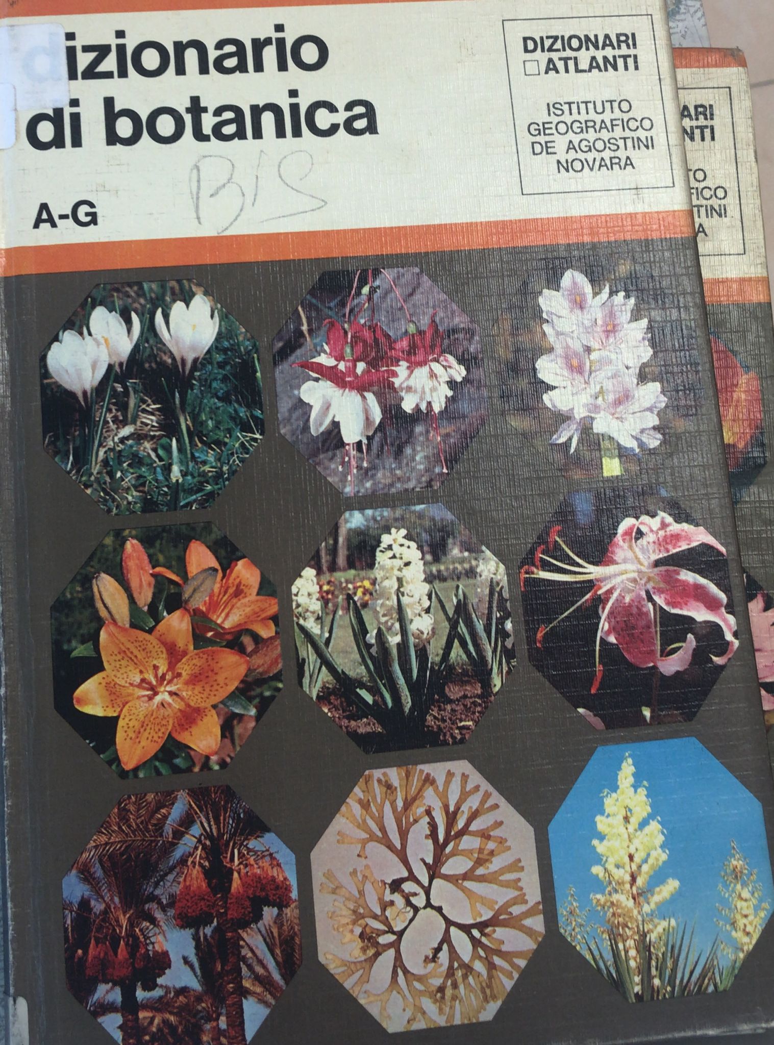 DIZIONARIO DI BOTANICA A-G